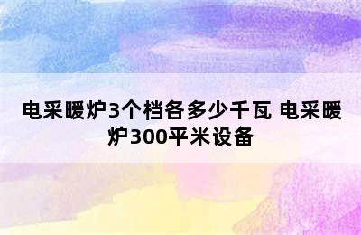 电采暖炉3个档各多少千瓦 电采暖炉300平米设备